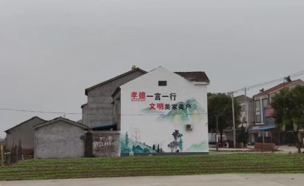 新蔡新农村墙绘